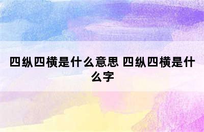 四纵四横是什么意思 四纵四横是什么字